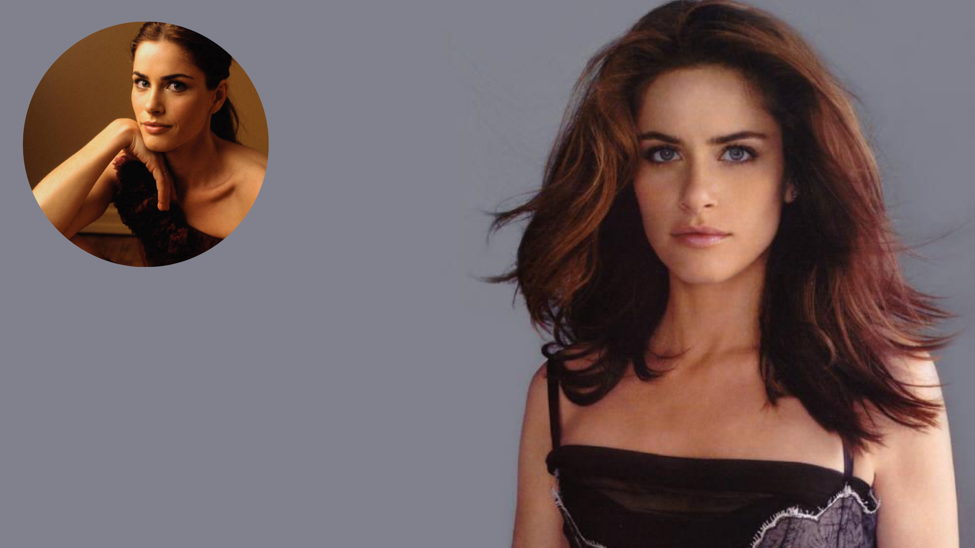 Amanda Peet Net Worth